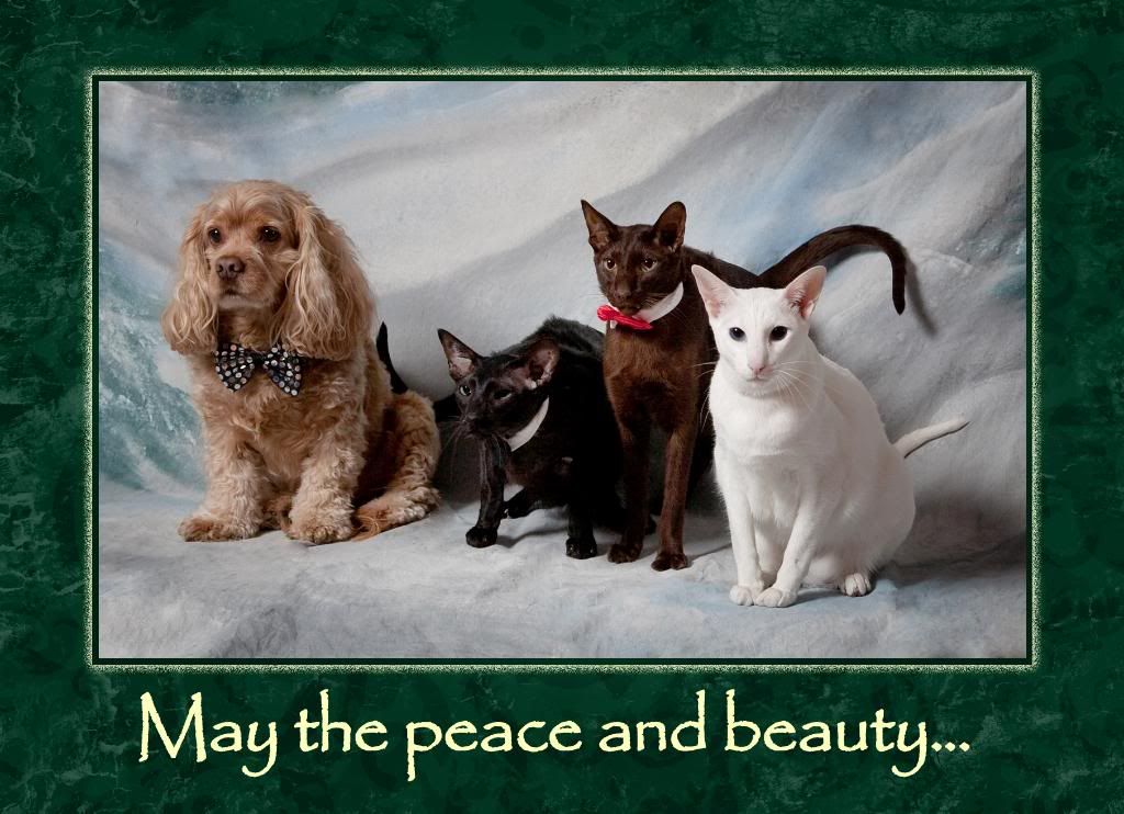 IMAGE: http://i242.photobucket.com/albums/ff260/WhiteLadyBug/Frontcopy.jpg