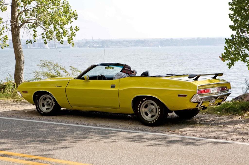 IMAGE: http://i242.photobucket.com/albums/ff260/WhiteLadyBug/IMG_4466Fall.jpg