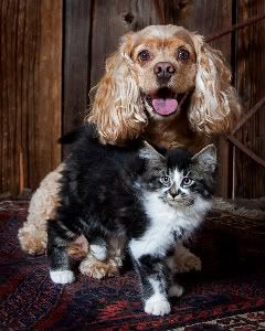 IMAGE: http://i242.photobucket.com/albums/ff260/WhiteLadyBug/WCHSIMG_9434-2-1.jpg