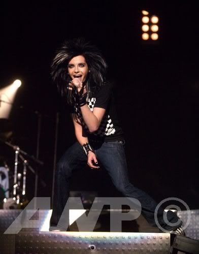 6407091om4.jpg picture by Ewellyn27