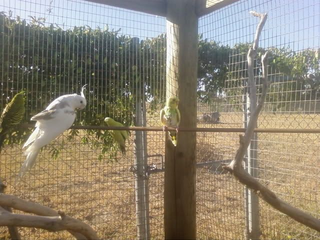 Photo0128_1_1.jpg