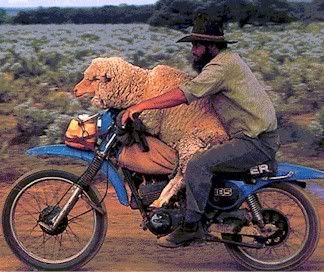 Redneck Possible American Etymology | RM. Redneck Possible American Etymology | RM.