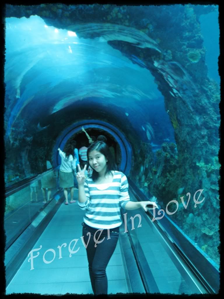 IMG_6806.jpg picture by For3v3inl0v3