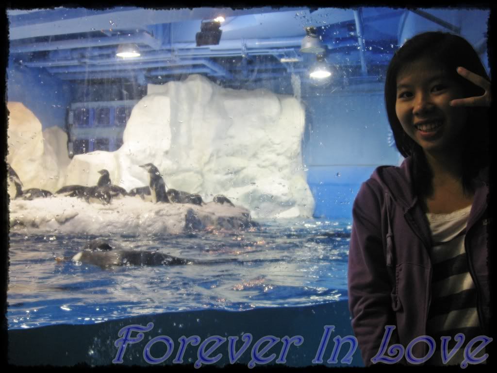 IMG_6865.jpg picture by For3v3inl0v3