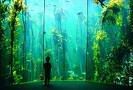 two oceans aquarium