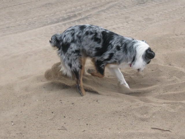 IMG_1051.jpg