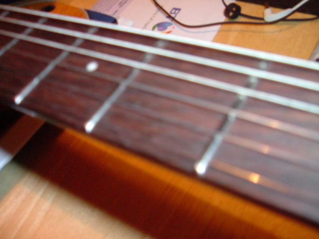 DSCF1309.jpg