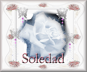 soledad3.gif picture by gurguiba