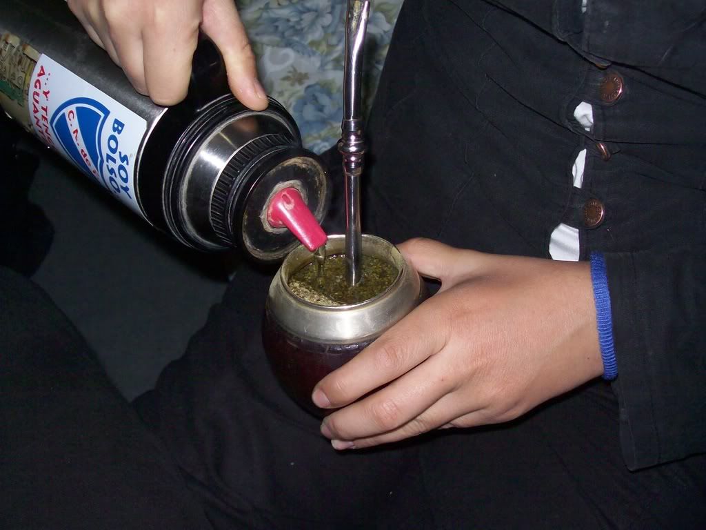 yerba yerba
