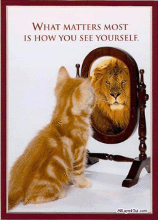 Posted Image