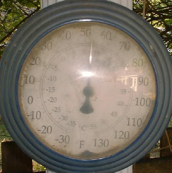 th_temp.jpg
