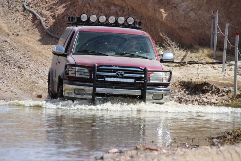IMG_1886_zps04adc49b.jpg