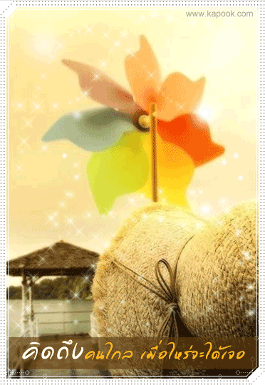 คลิกๆๆ รูปสวยๆน่ารักๆไว้ส่งต่อเพียบ...