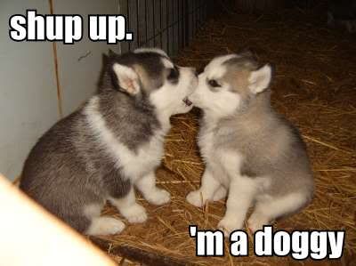 puppiesssss
