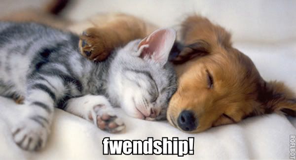 fwendship!