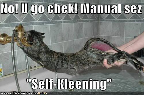 self-kleening-cat.jpg