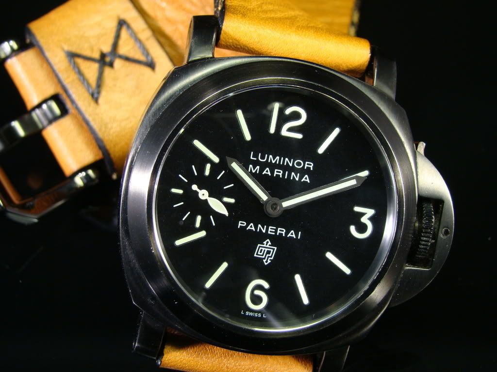 pam195_2.jpg