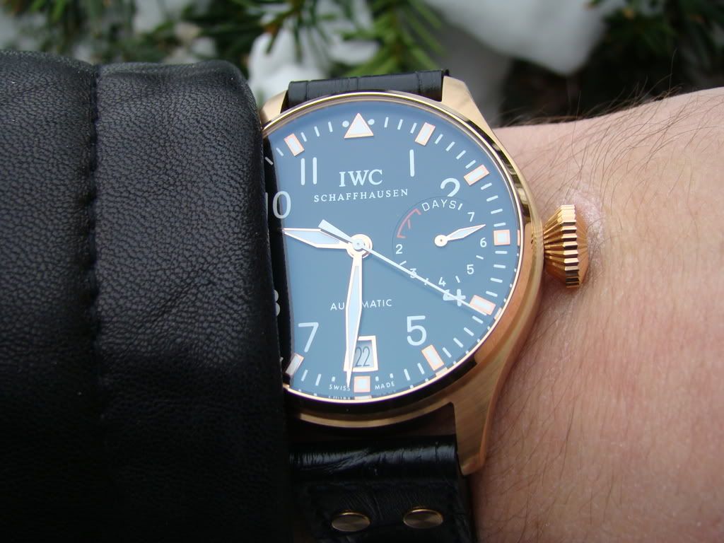 iwcbprg015.jpg