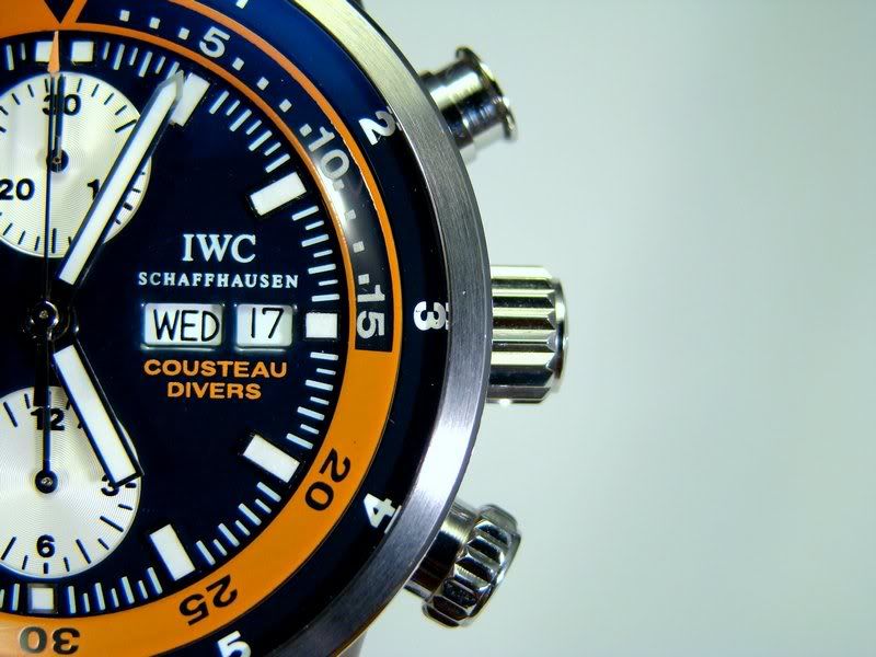 iwc_cousteau_07011.jpg