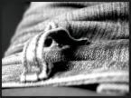 Black and white close up phot of a jeans belt loop