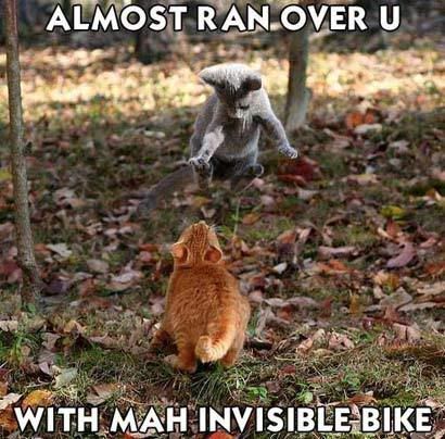 invisible_bike_ran_over_410.jpg
