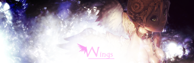 WingsSig3.png