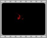 100MSDCF5002.mp4 video by mashedmeez