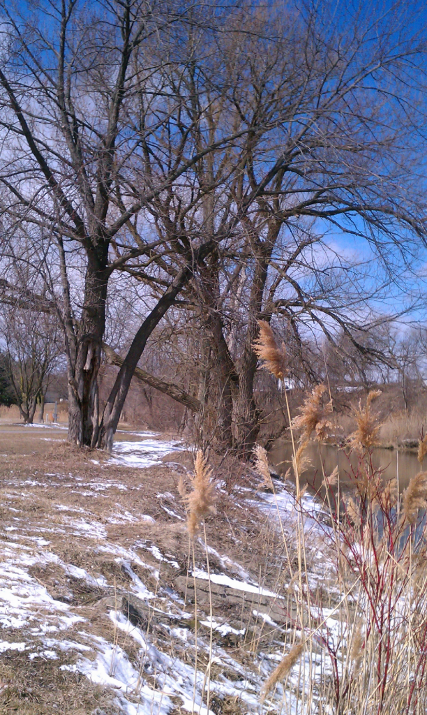 black river, port huron twp MI photo IMAG2242_zps42be36c8.png