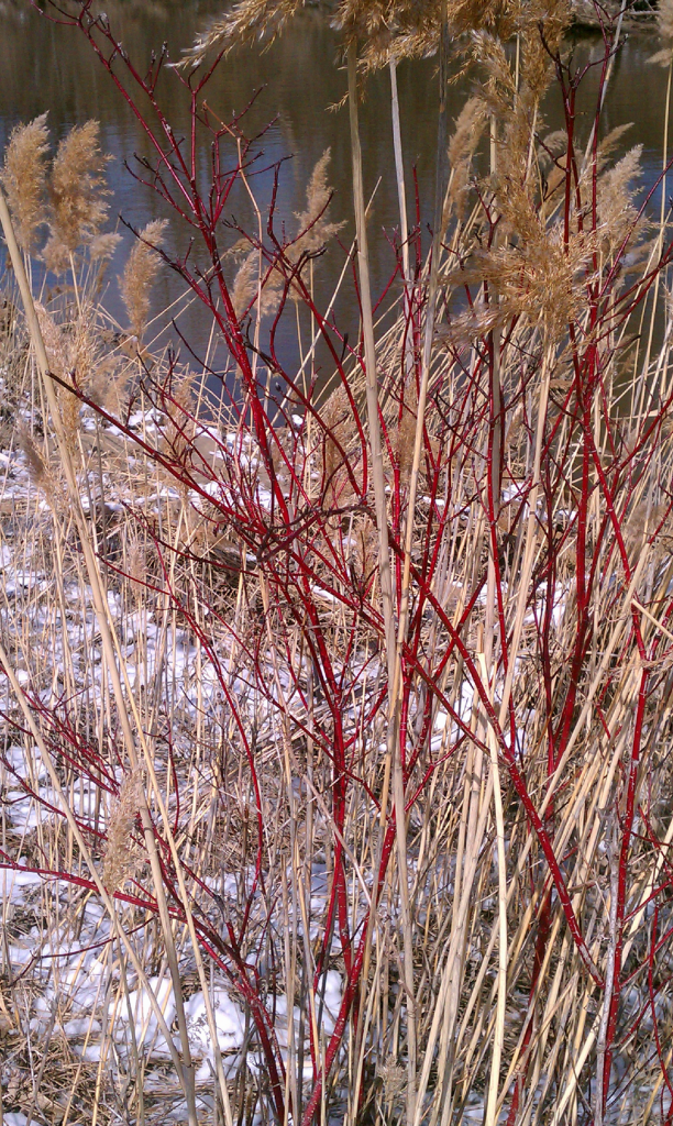 black river, port huron twp MI photo IMAG2243_zpse66f4580.png