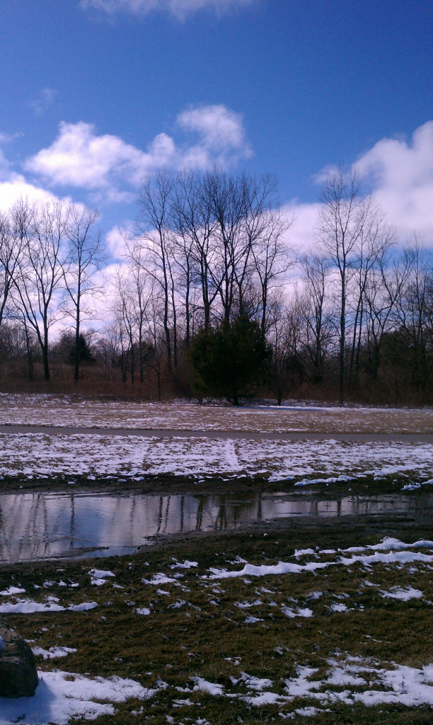 black river, port huron twp MI photo IMAG2247_zps6671787c.png