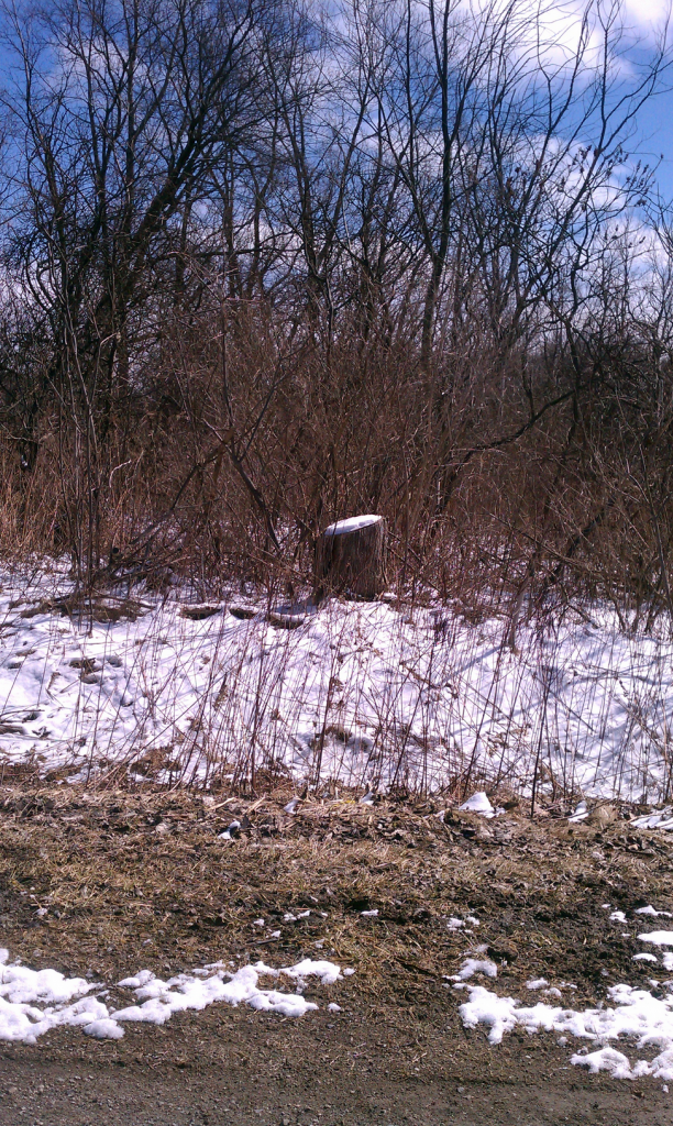 black river, port huron twp MI photo IMAG2251_zps7cbe1e3e.png