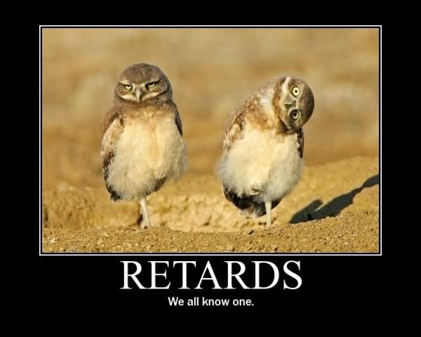 Retards-birds.jpg