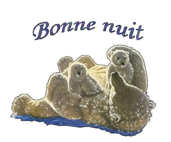 bonnenuitours.jpg