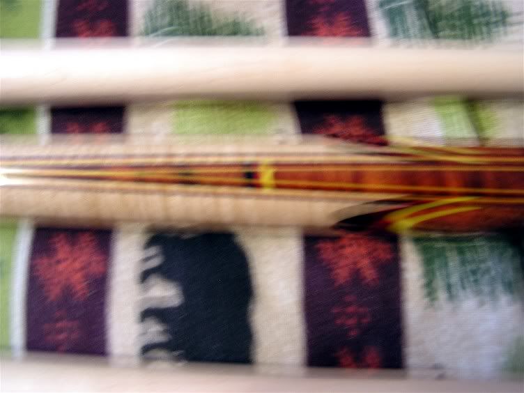 spiderweb003.jpg