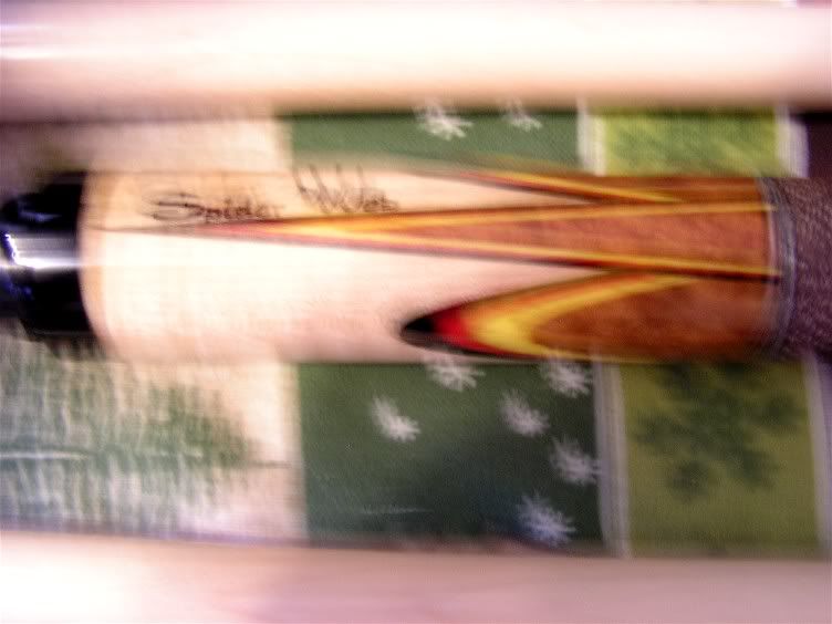 spiderweb008.jpg