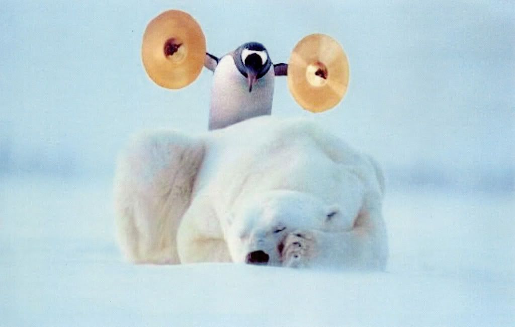 Penguin-PolarBear.jpg