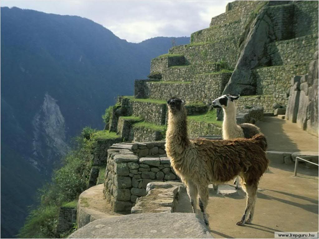 http://i242.photobucket.com/albums/ff95/asd2007_112/share/MachuPicchu/12.jpg