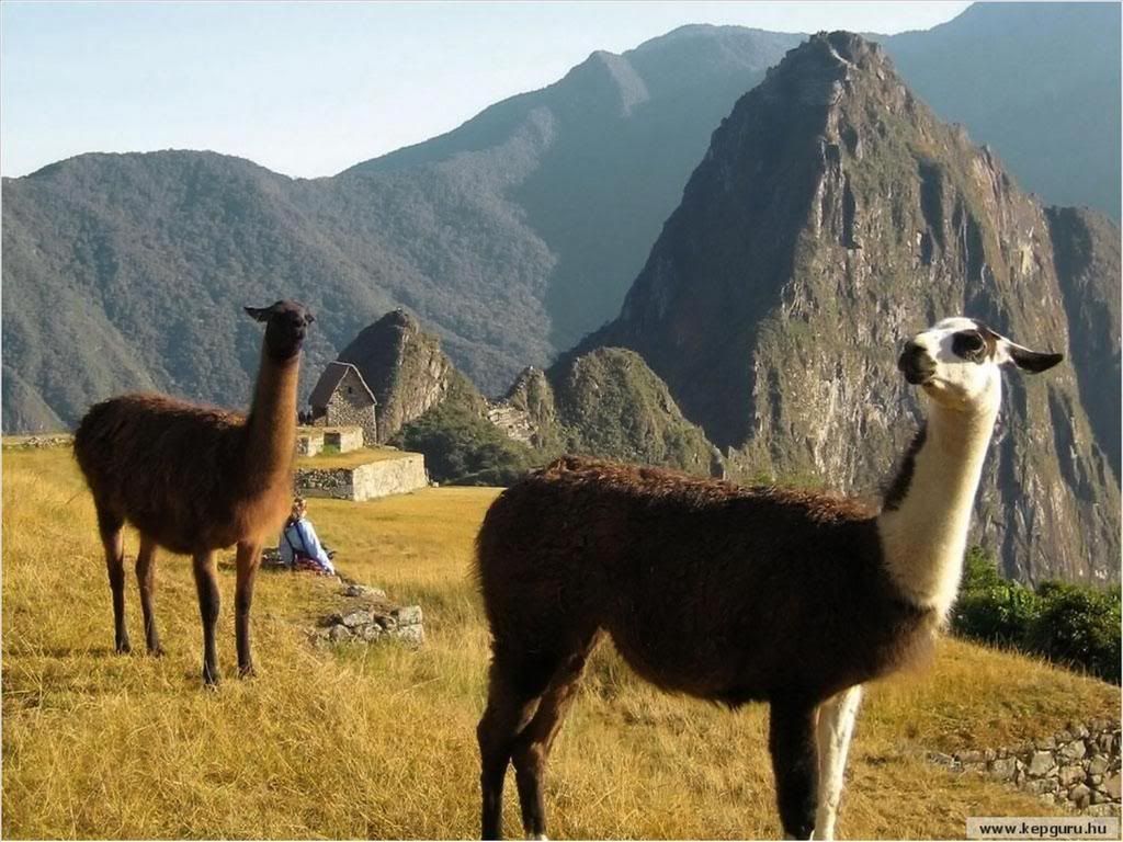 http://i242.photobucket.com/albums/ff95/asd2007_112/share/MachuPicchu/3.jpg