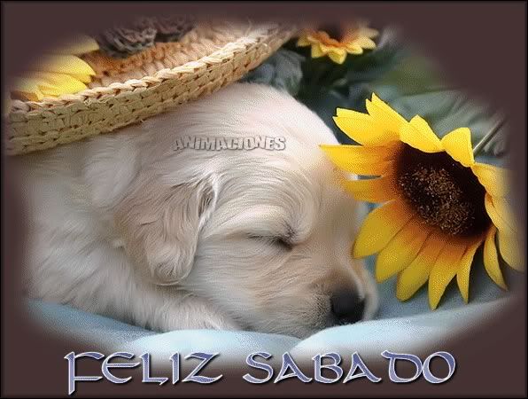 recados-sabado-jpg-4.jpg