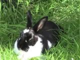 PIC_0015.jpg