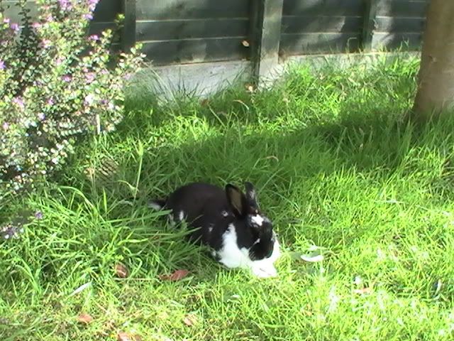 PIC_0017.jpg