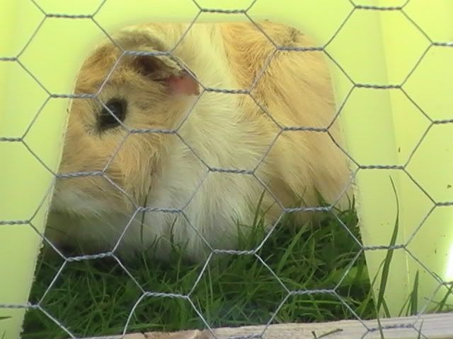 PIC_0019.jpg