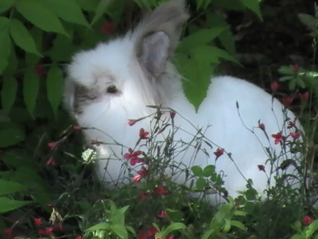 PIC_0020.jpg
