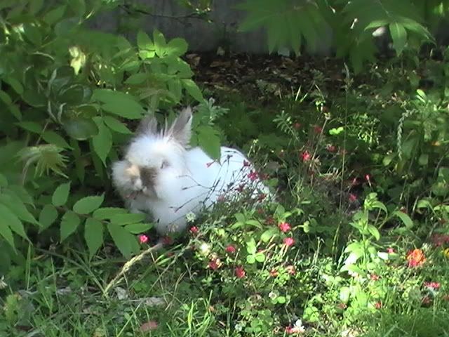 PIC_0023.jpg