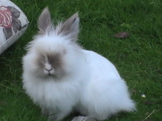 PIC_0026.jpg