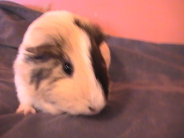 PIC_0032.jpg