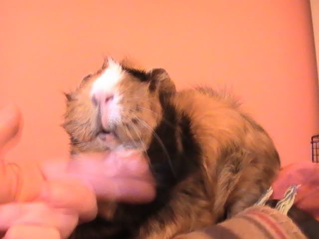 PIC_0047.jpg