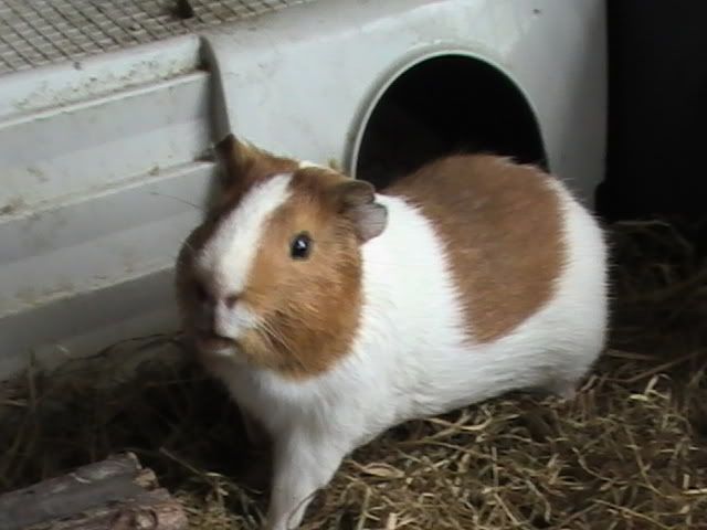 PIC_0093.jpg