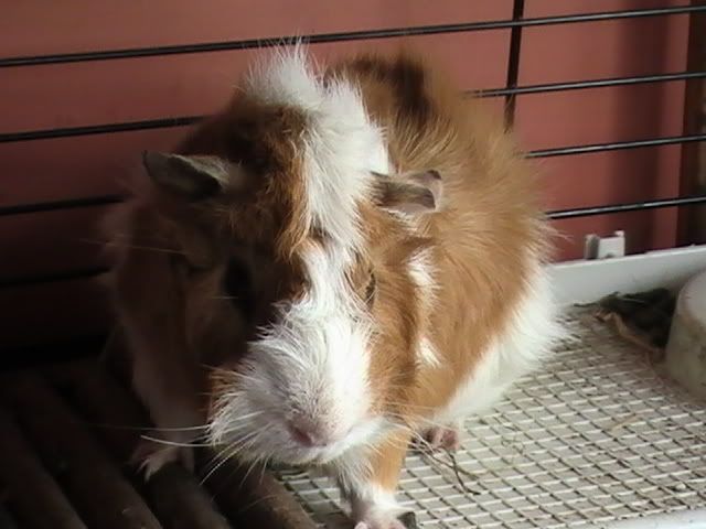 PIC_0094.jpg