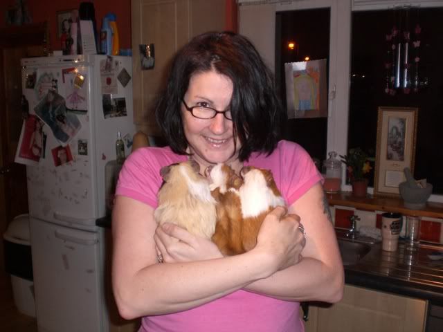 boypigs008.jpg